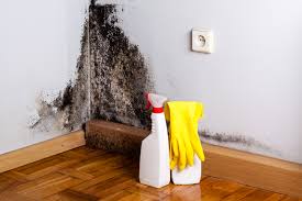 Best Mold Remediation for Healthcare Facilities  in Gila Bend, AZ